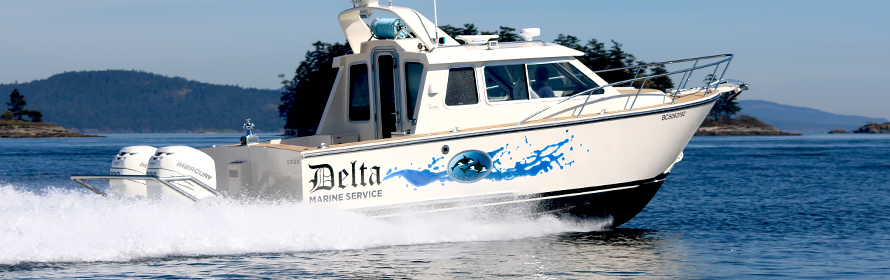 About Us - Delta Marine Service